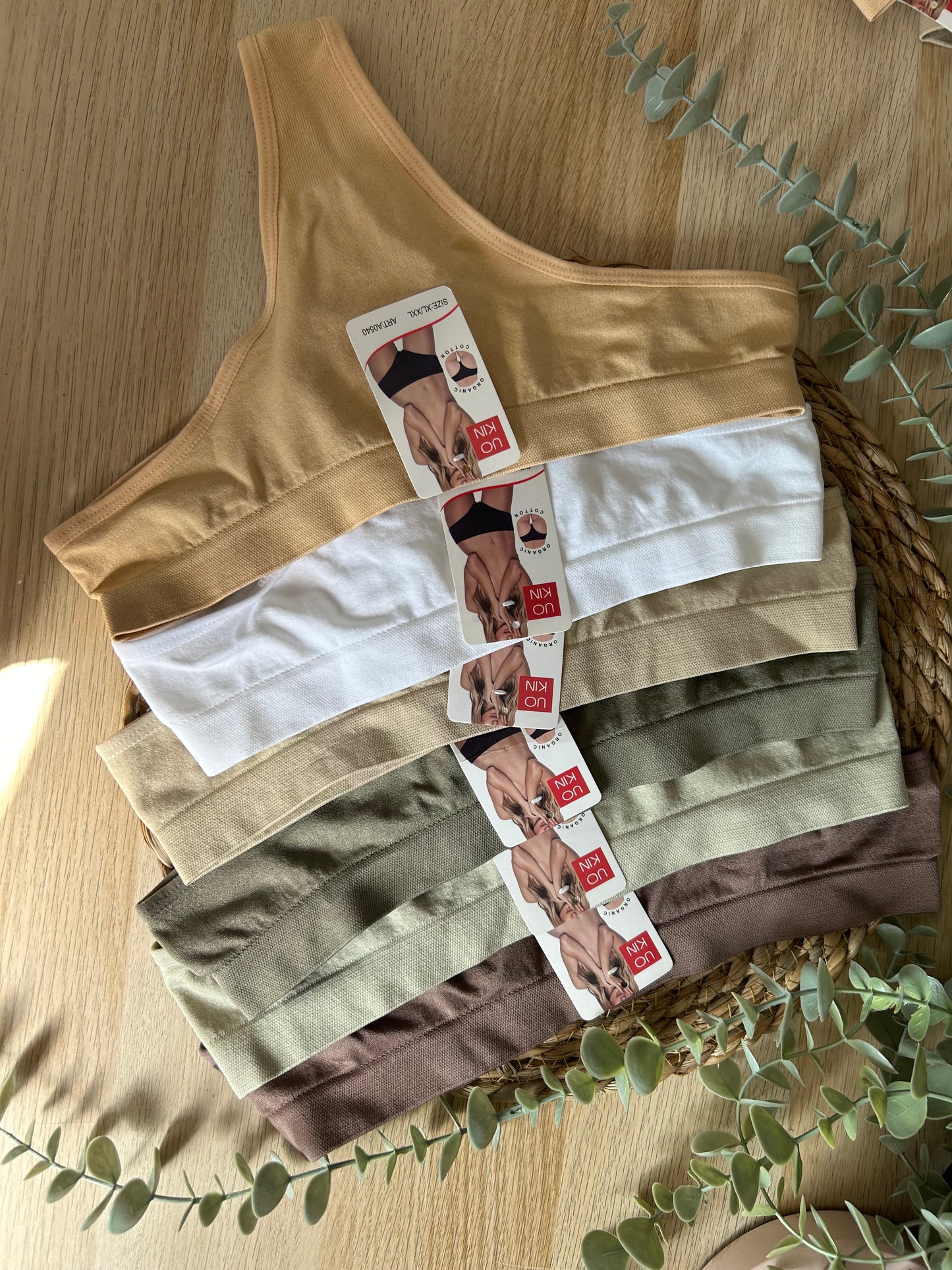 Colales Lena