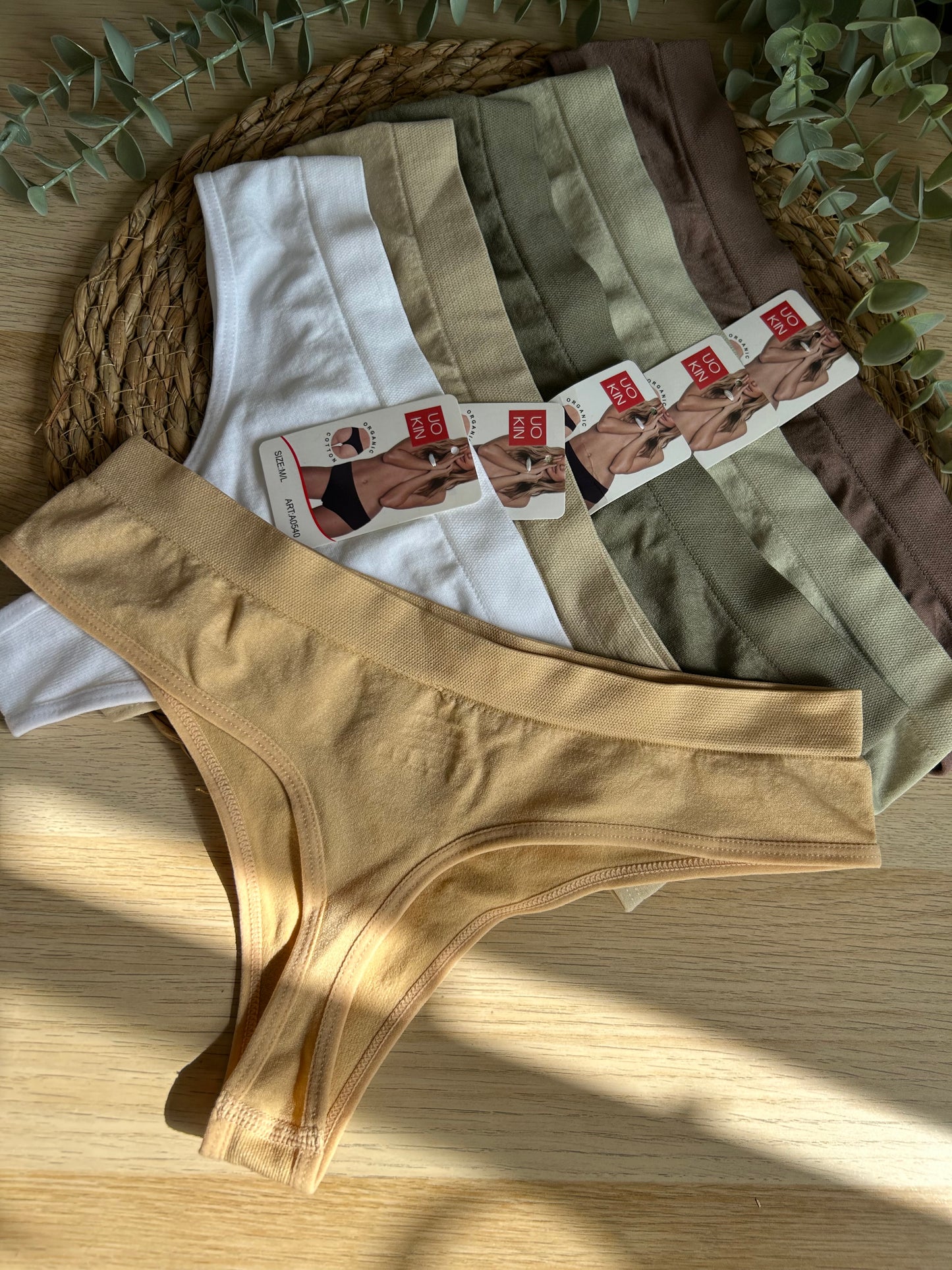 Colales Lena
